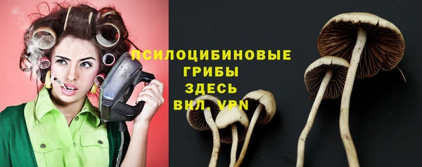 ПСИЛОЦИБИНОВЫЕ ГРИБЫ Новокубанск