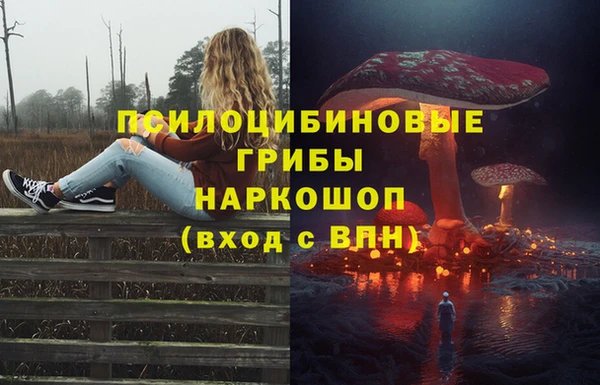 кокс Новозыбков