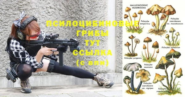 кокс Новозыбков