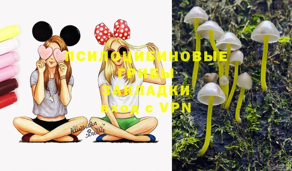 экстази Дмитров
